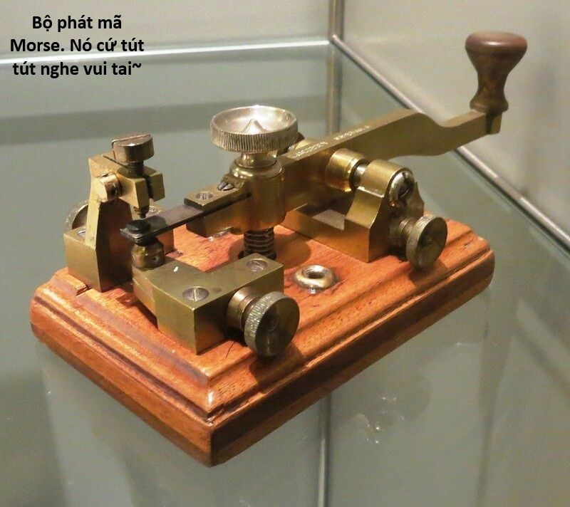 Hổ Đến Chơi Nhà (Puchimasu Miếu): Chapter 138