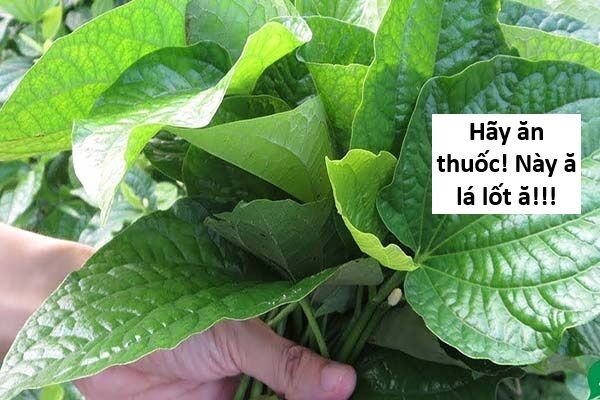 Hổ Đến Chơi Nhà (Puchimasu Miếu): Chapter 139