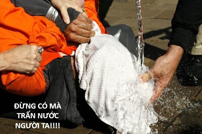 Hổ Đến Chơi Nhà (Puchimasu Miếu): Chapter 139