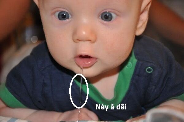 Hổ Đến Chơi Nhà (Puchimasu Miếu): Chapter 140