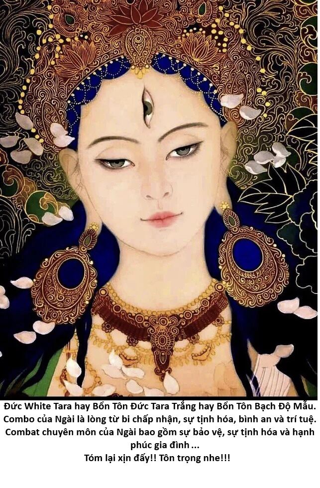 Hổ Đến Chơi Nhà (Puchimasu Miếu): Chapter 142