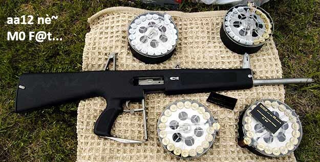 Hổ Đến Chơi Nhà (Puchimasu Miếu): Chapter 143