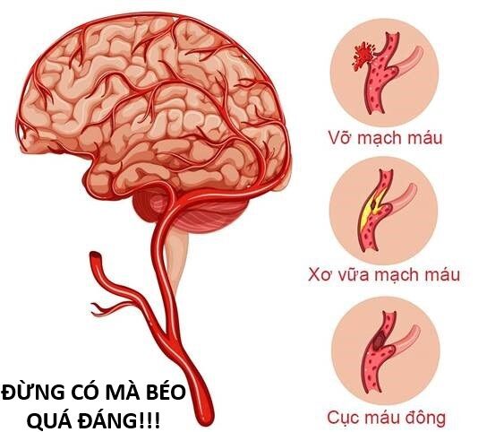 Hổ Đến Chơi Nhà (Puchimasu Miếu): Chapter 144