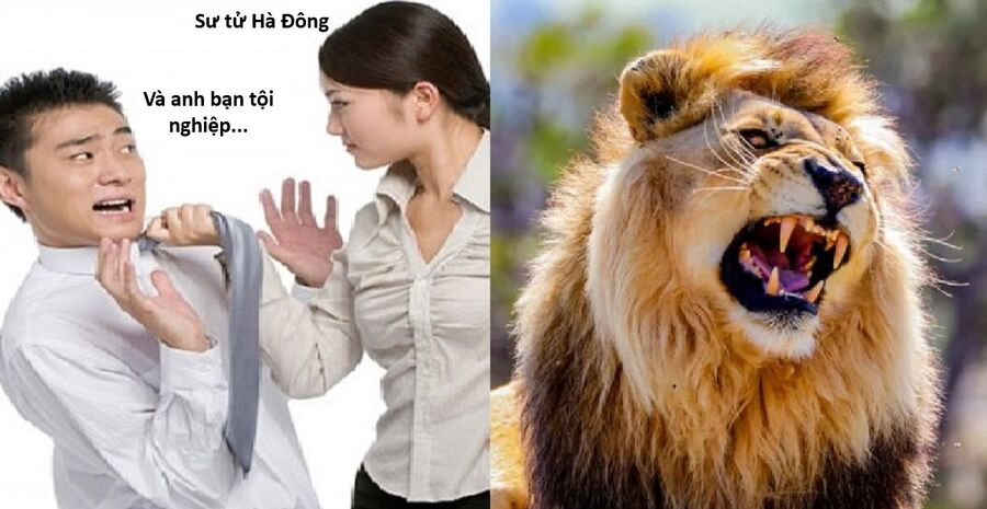 Hổ Đến Chơi Nhà (Puchimasu Miếu): Chapter 152