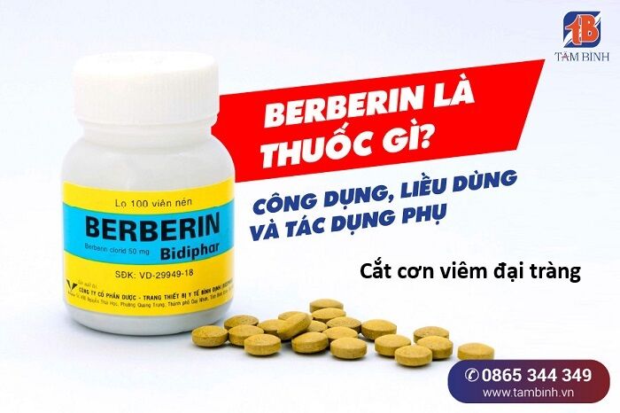 Hổ Đến Chơi Nhà (Puchimasu Miếu): Chapter 153