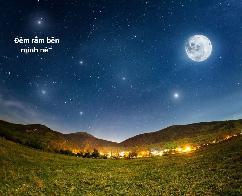 Hổ Đến Chơi Nhà: Chapter 140