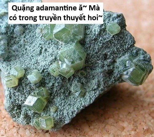 Hổ Đến Chơi Nhà: Chapter 141