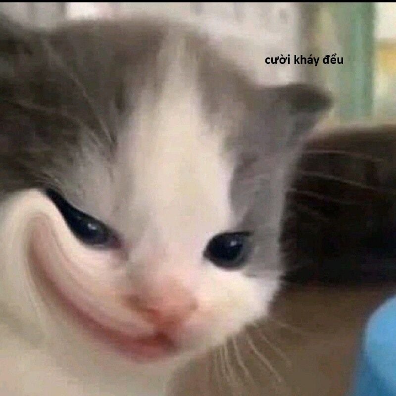 Hổ Đến Chơi Nhà: Chapter 143