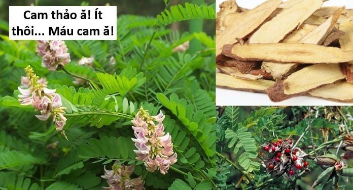 Hổ Đến Chơi Nhà: Chapter 143