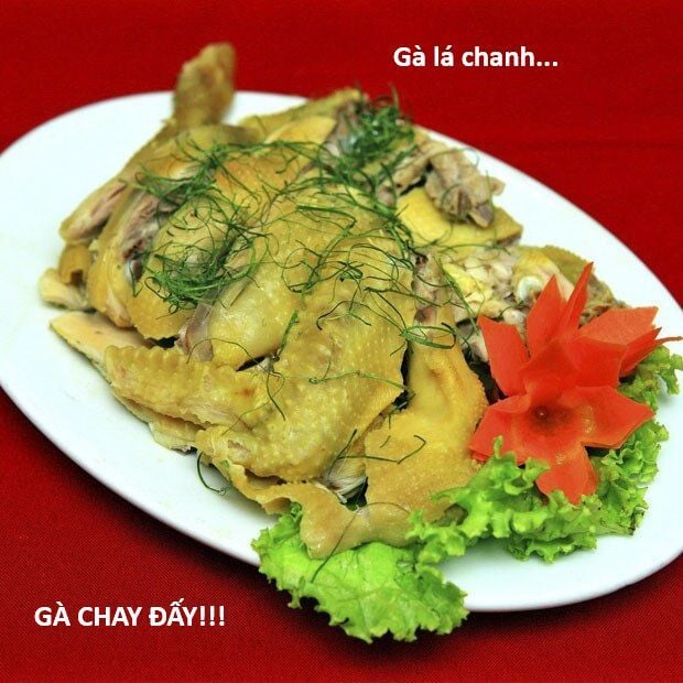 Hổ Đến Chơi Nhà: Chapter 145