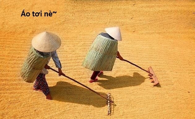 Hổ Đến Chơi Nhà: Chapter 146