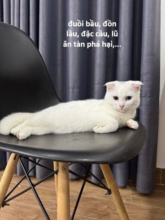 Hổ Đến Chơi Nhà: Chapter 146