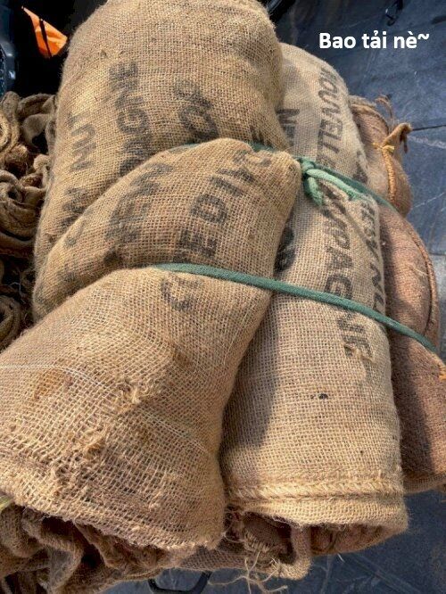 Hổ Đến Chơi Nhà: Chapter 147