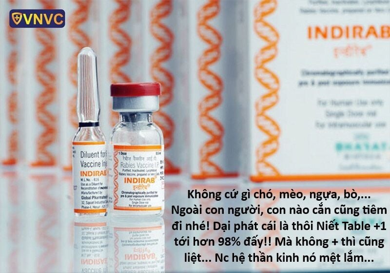 Hổ Đến Chơi Nhà: Chapter 151