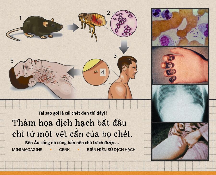 Hổ Đến Chơi Nhà: Chapter 156