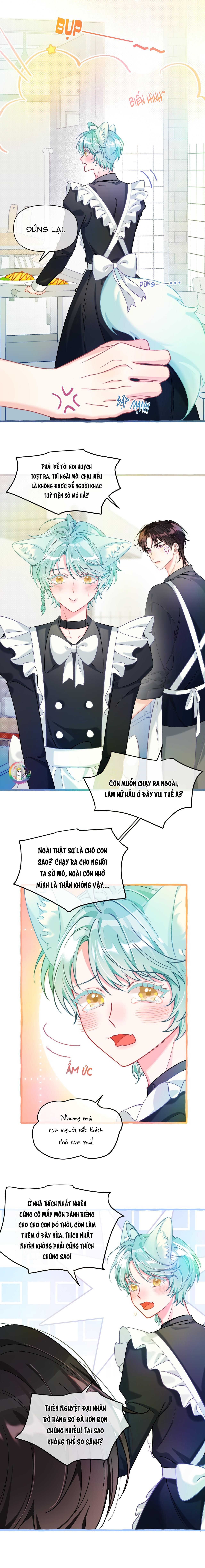 Hồ Ly Hay Là: Chapter 24