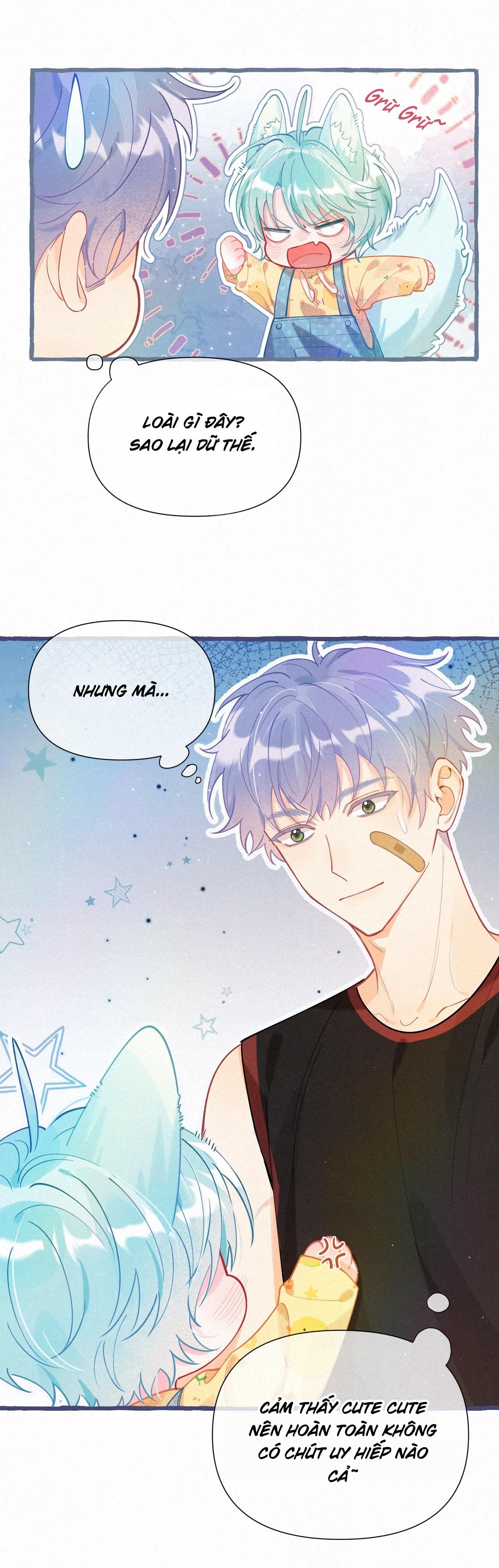 Hồ Ly Hay Là: Chapter 4