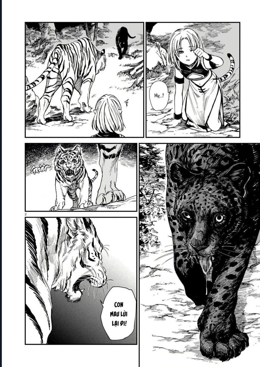 Hổ Vẫn Chưa Muốn Xơi Rồng: Chapter 40.5