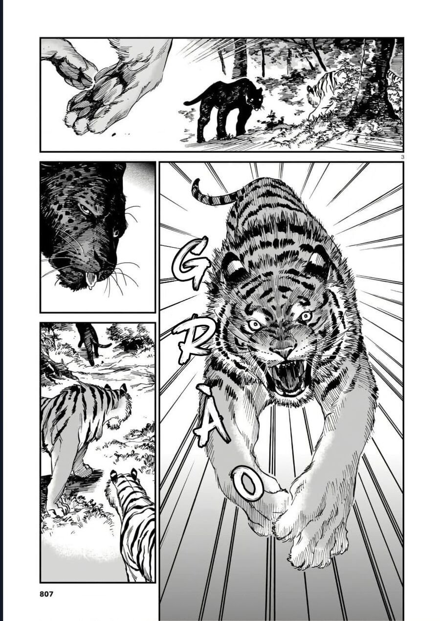 Hổ Vẫn Chưa Muốn Xơi Rồng: Chapter 40.5