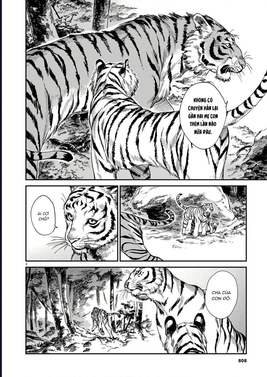Hổ Vẫn Chưa Muốn Xơi Rồng: Chapter 40.5
