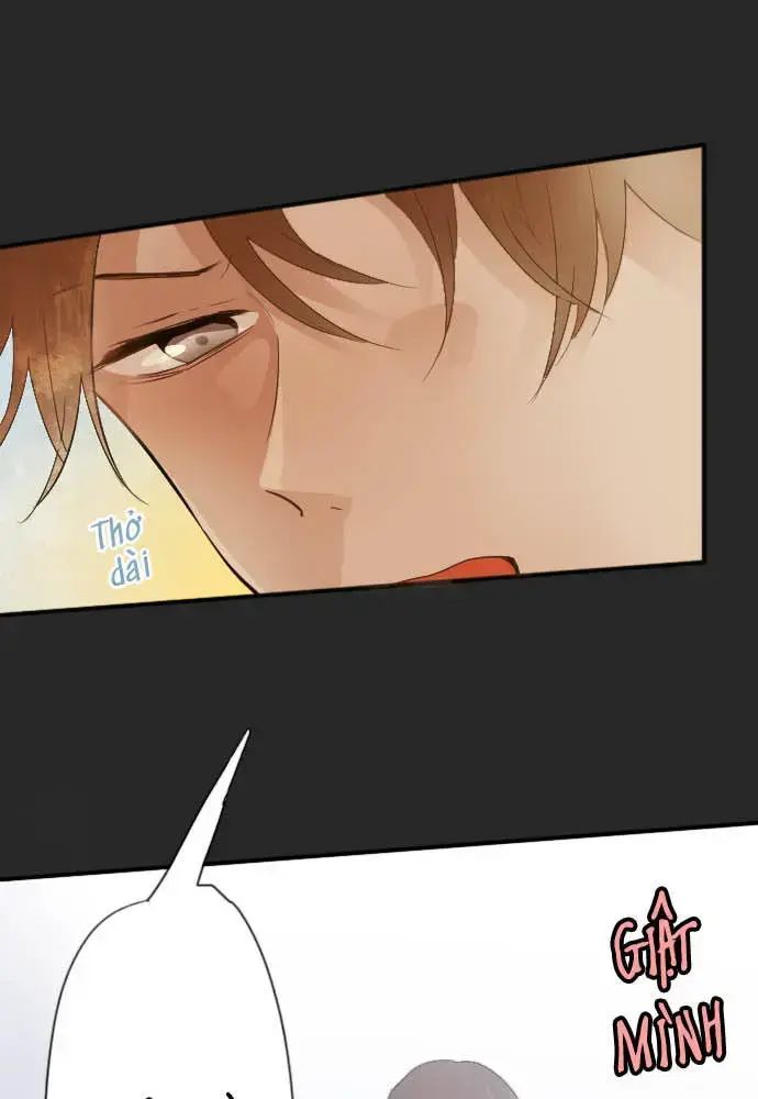 Hoa Cánh Sao: Chapter 44