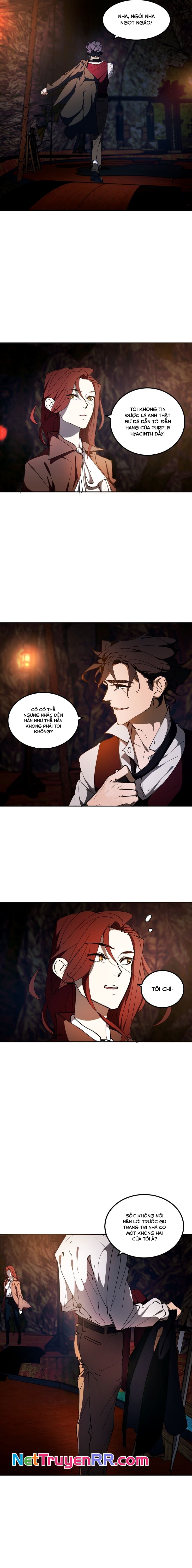 Hoa Lục Bình Tím: Chapter 11.1