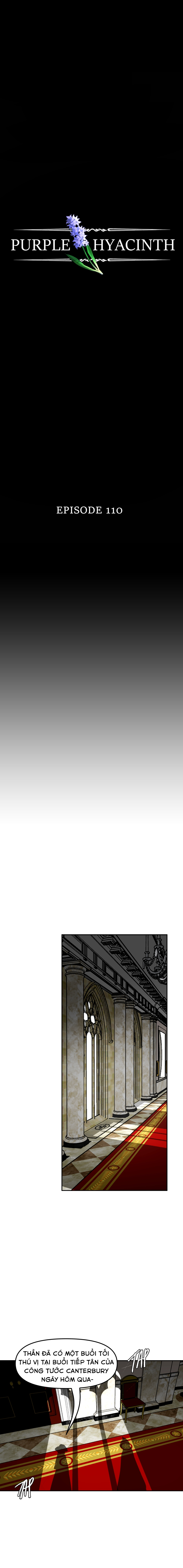Hoa Lục Bình Tím: Chapter 110