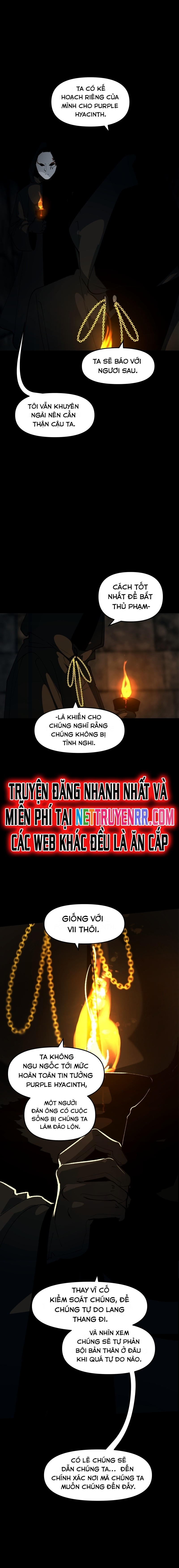 Hoa Lục Bình Tím: Chapter 117.3