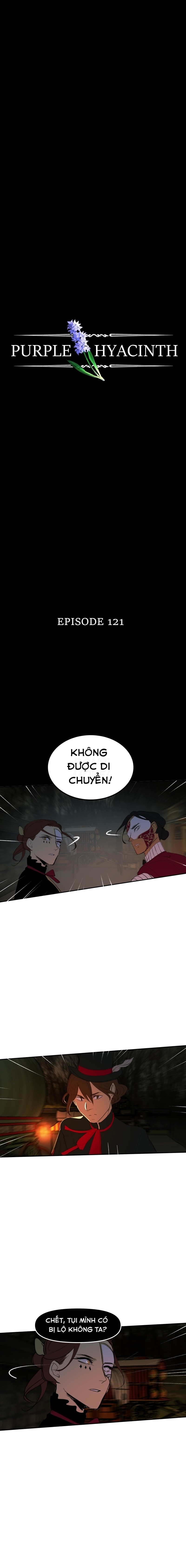 Hoa Lục Bình Tím: Chapter 121