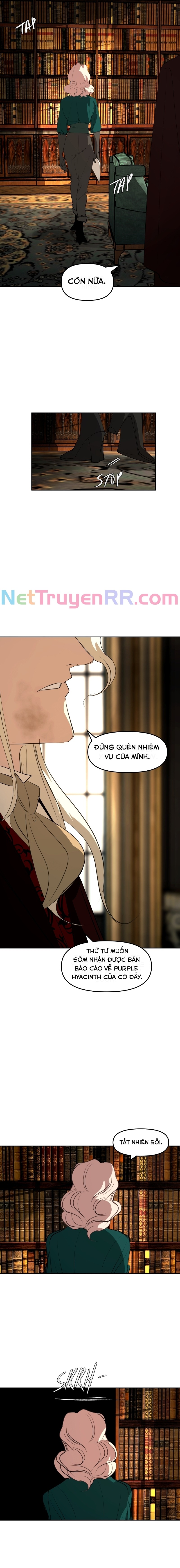 Hoa Lục Bình Tím: Chapter 124.1