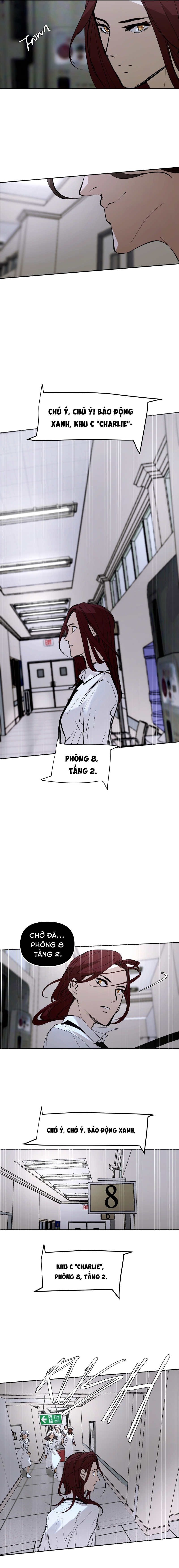 Hoa Lục Bình Tím: Chapter 145.4