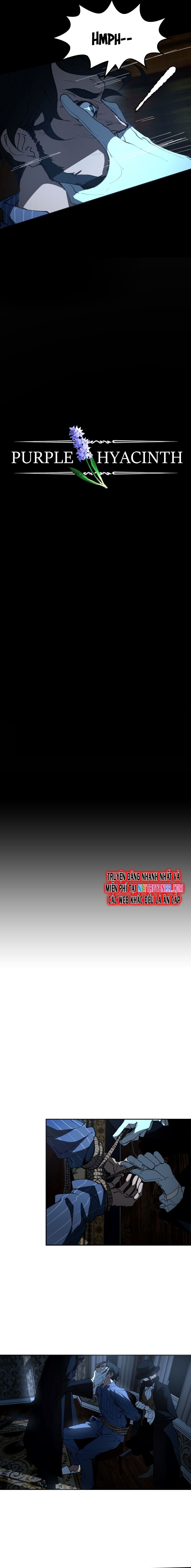 Hoa Lục Bình Tím: Chapter 15