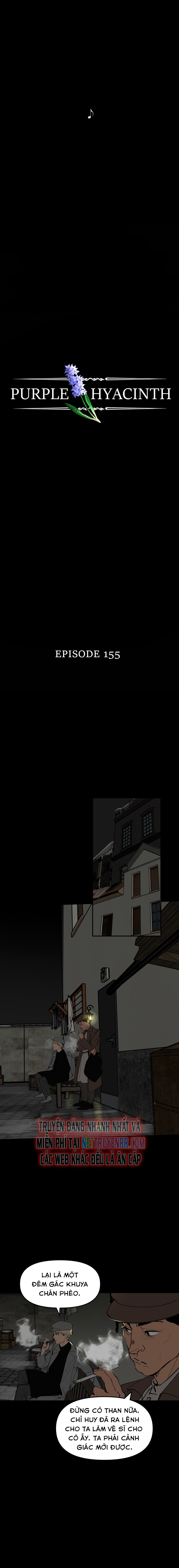 Hoa Lục Bình Tím: Chapter 155