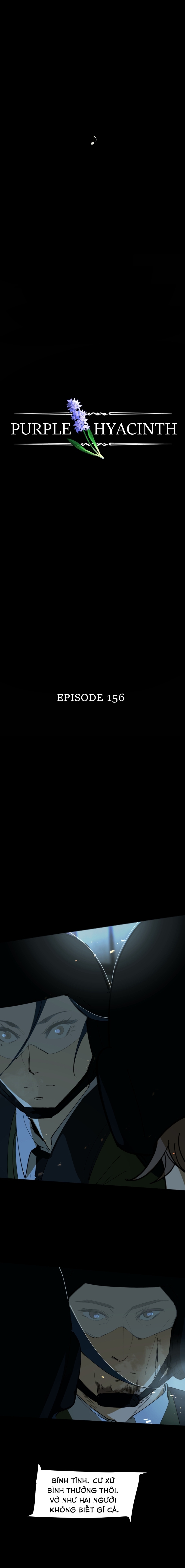 Hoa Lục Bình Tím: Chapter 156