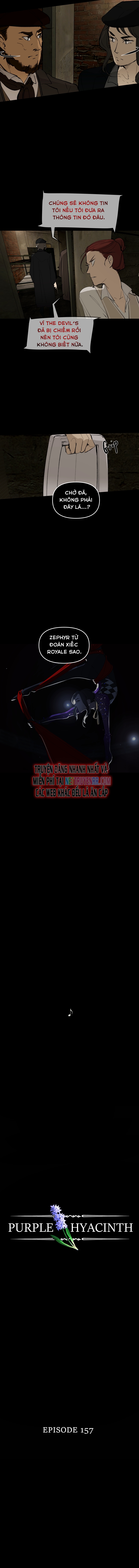 Hoa Lục Bình Tím: Chapter 157