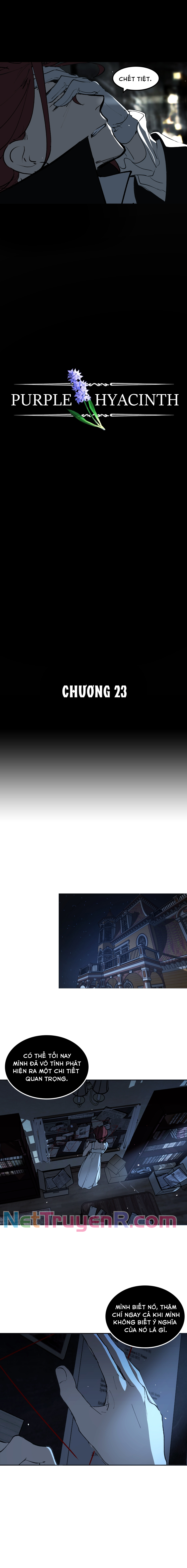 Hoa Lục Bình Tím: Chapter 23.1