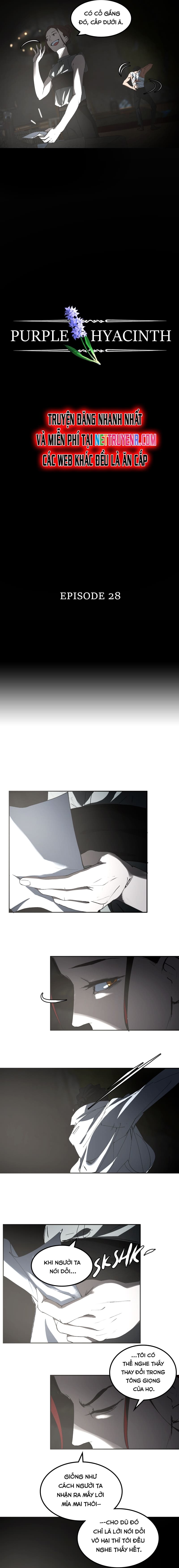 Hoa Lục Bình Tím: Chapter 28