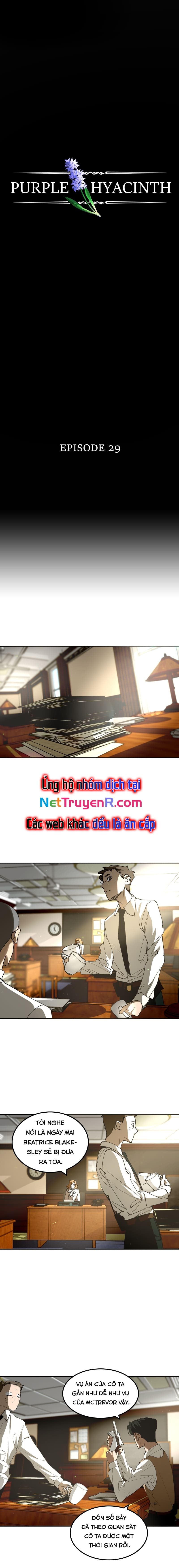 Hoa Lục Bình Tím: Chapter 29