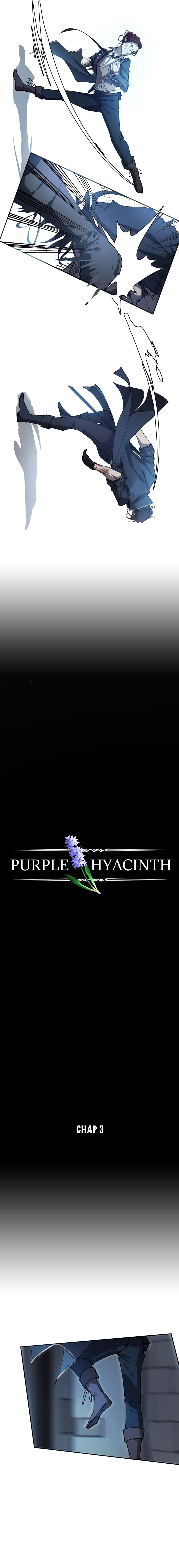 Hoa Lục Bình Tím: Chapter 3