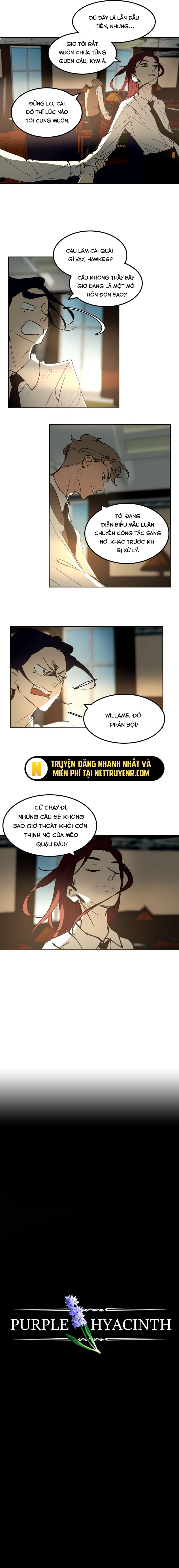 Hoa Lục Bình Tím: Chapter 31.1