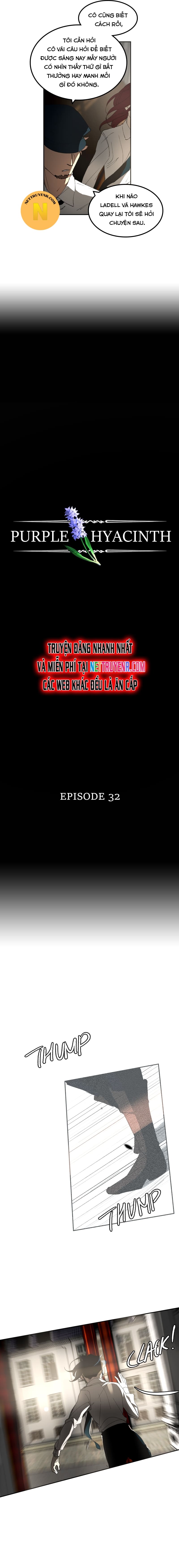 Hoa Lục Bình Tím: Chapter 32