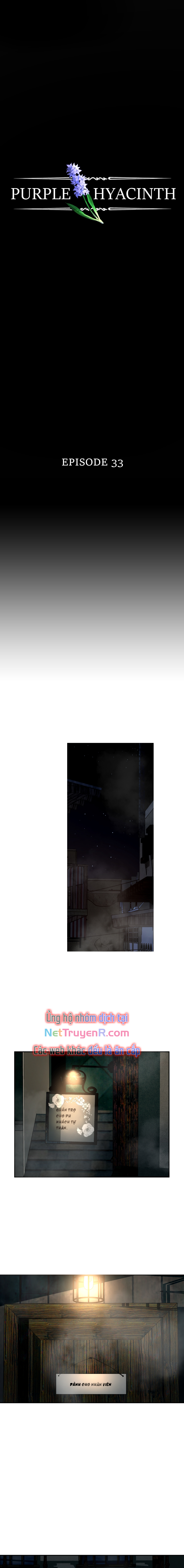 Hoa Lục Bình Tím: Chapter 33