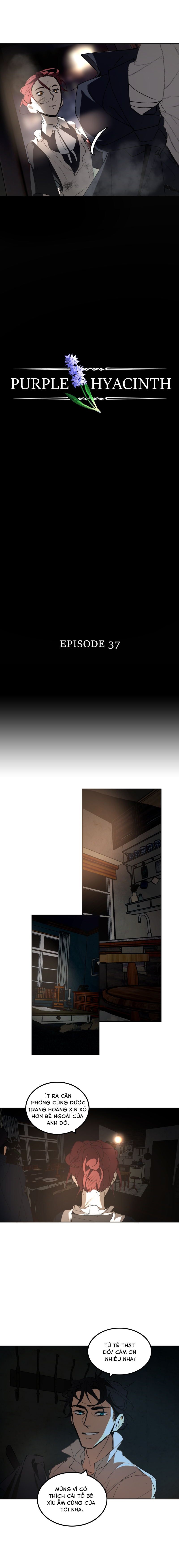 Hoa Lục Bình Tím: Chapter 37