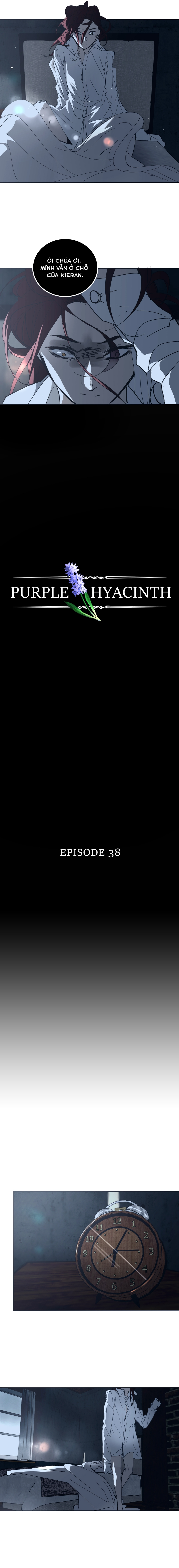 Hoa Lục Bình Tím: Chapter 38