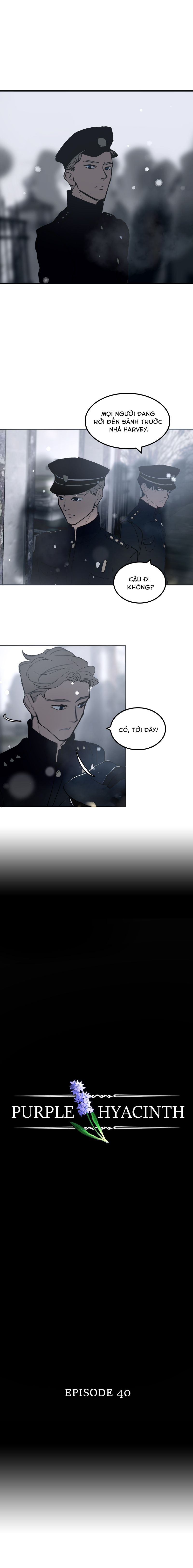 Hoa Lục Bình Tím: Chapter 40