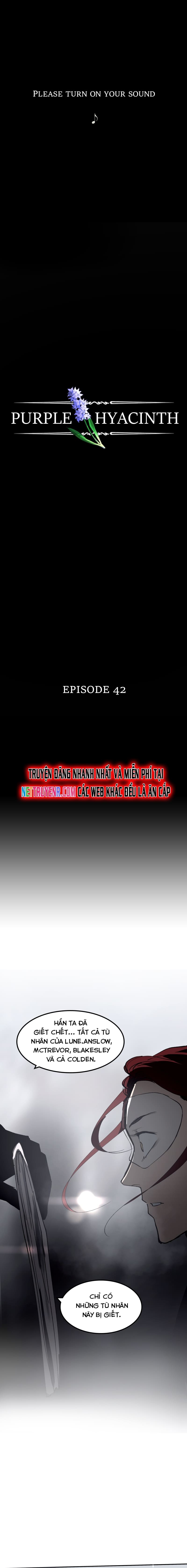 Hoa Lục Bình Tím: Chapter 42