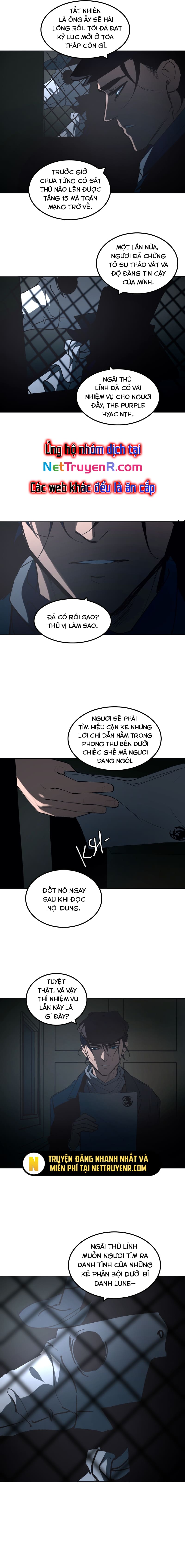 Hoa Lục Bình Tím: Chapter 45.2