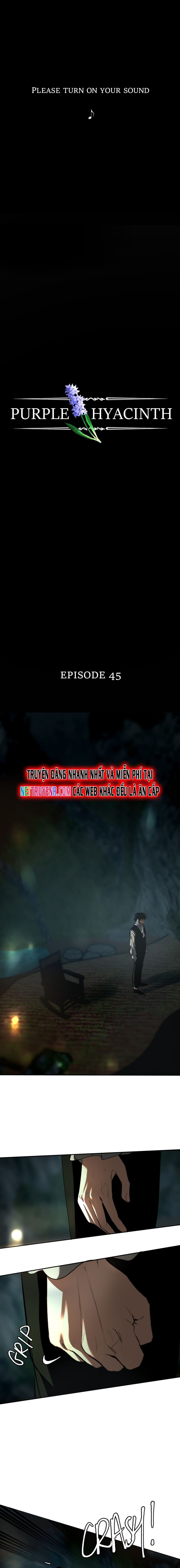 Hoa Lục Bình Tím: Chapter 45