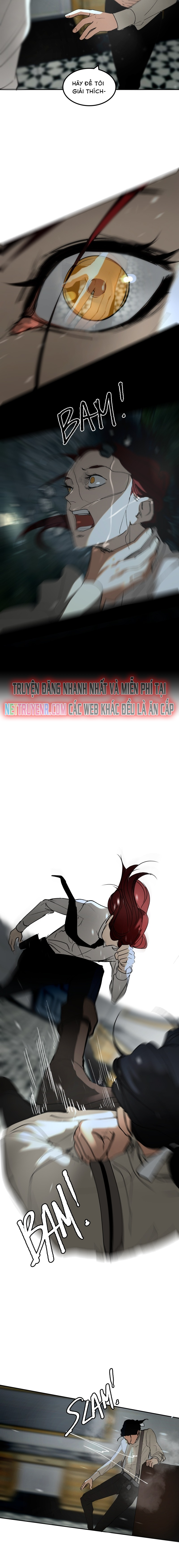 Hoa Lục Bình Tím: Chapter 50.2