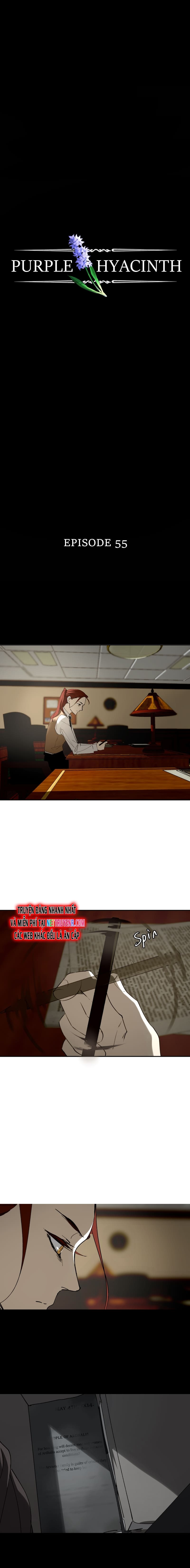Hoa Lục Bình Tím: Chapter 55